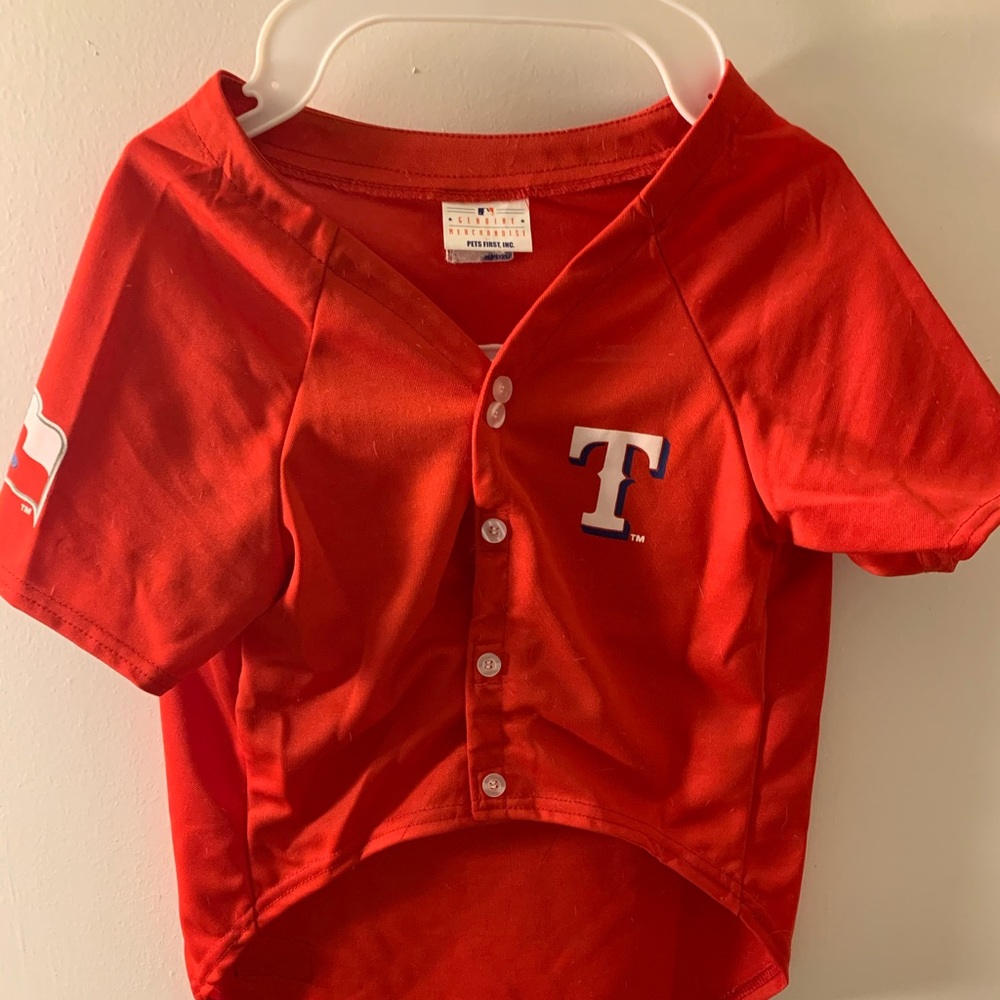 Large Texas Rangers dog outfit